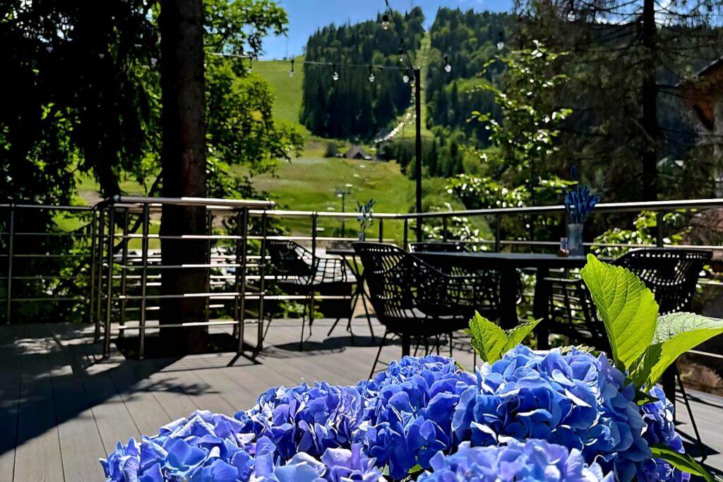 Отдых в отеле Blue Mountain - заказать номер в Полянице (курорт Буковель) фото №15